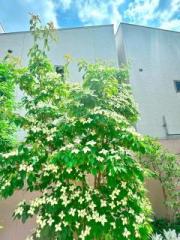 �摜(180x240)�E�g��摜(480x640)