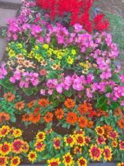 �摜(180x240)�E�g��摜(480x640)