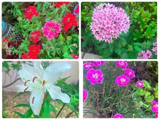 �摜(320x240)�E�g��摜(640x480)