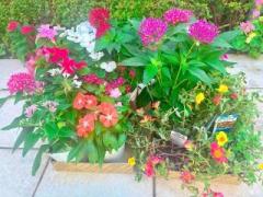 �摜(240x180)�E�g��摜(640x480)