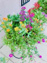 画像(180x240)・拡大画像(480x640)