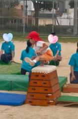 画像(157x240)・拡大画像(421x640)