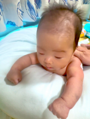 �摜(181x240)�E�g��摜(484x640)