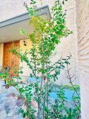 画像(180x240)・拡大画像(480x640)