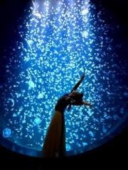 画像(180x240)・拡大画像(480x640)