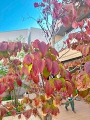 �摜(180x240)�E�g��摜(480x640)