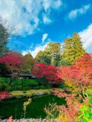 画像(180x240)・拡大画像(480x640)