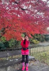 画像(167x240)・拡大画像(447x640)