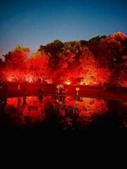 画像(180x240)・拡大画像(480x640)