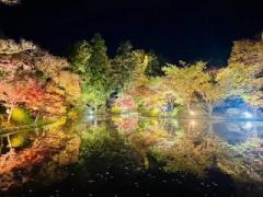 画像(240x180)・拡大画像(640x480)