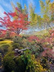 画像(180x240)・拡大画像(480x640)