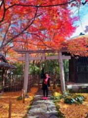 画像(180x240)・拡大画像(480x640)