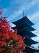 画像(135x180)・拡大画像(480x640)