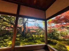 画像(240x180)・拡大画像(640x480)