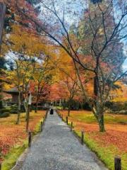 画像(180x240)・拡大画像(480x640)