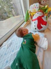 画像(180x240)・拡大画像(480x640)