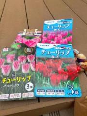 �摜(180x240)�E�g��摜(480x640)