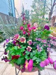 �摜(180x240)�E�g��摜(480x640)