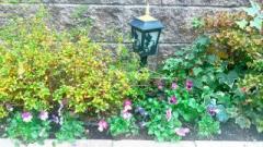 �摜(240x135)�E�g��摜(640x360)