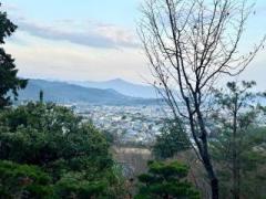 �摜(240x180)�E�g��摜(640x480)