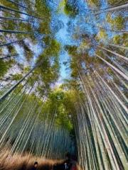 �摜(180x240)�E�g��摜(480x640)