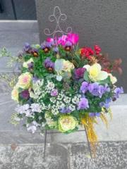 �摜(180x240)�E�g��摜(480x640)