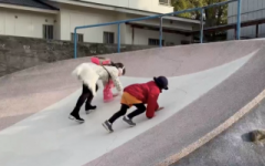 �摜(240x150)�E�g��摜(640x401)