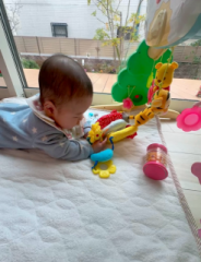 画像(184x240)・拡大画像(493x640)