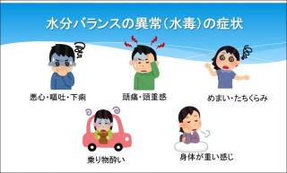 �摜(320x193)�E�g��摜(640x386)