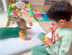 画像(240x183)・拡大画像(640x488)