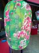 画像(135x180)・拡大画像(480x640)