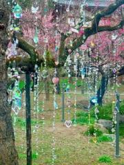 画像(180x240)・拡大画像(480x640)