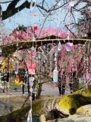 画像(180x240)・拡大画像(480x640)