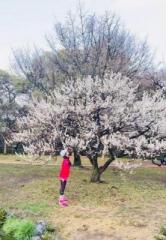 画像(166x240)・拡大画像(445x640)