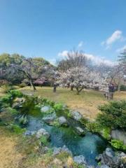 画像(180x240)・拡大画像(480x640)