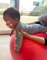 画像(188x240)・拡大画像(503x640)