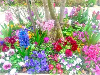 �摜(320x240)�E�g��摜(640x480)