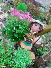 画像(180x240)・拡大画像(480x640)