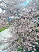 �摜(135x180)�E�g��摜(480x640)