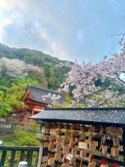 �摜(180x240)�E�g��摜(480x640)