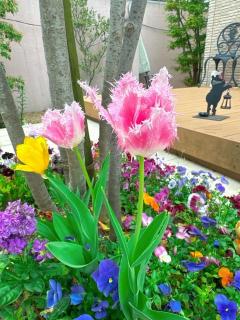 画像(240x320)・拡大画像(480x640)